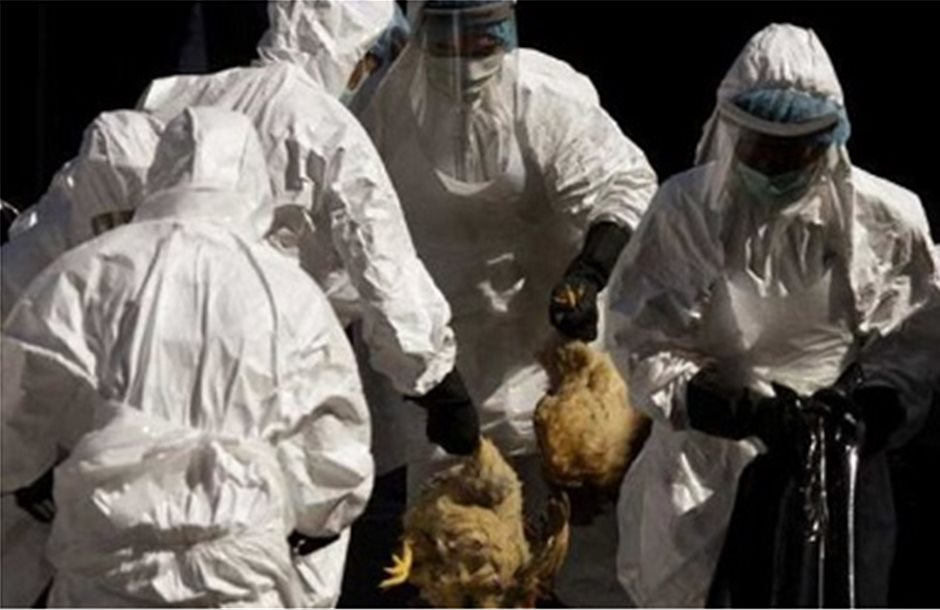 Κρούσματα της γρίπης των πτηνών στην Ουκρανία